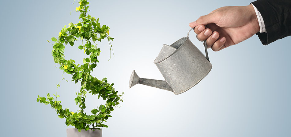 progettista-step-pagamento