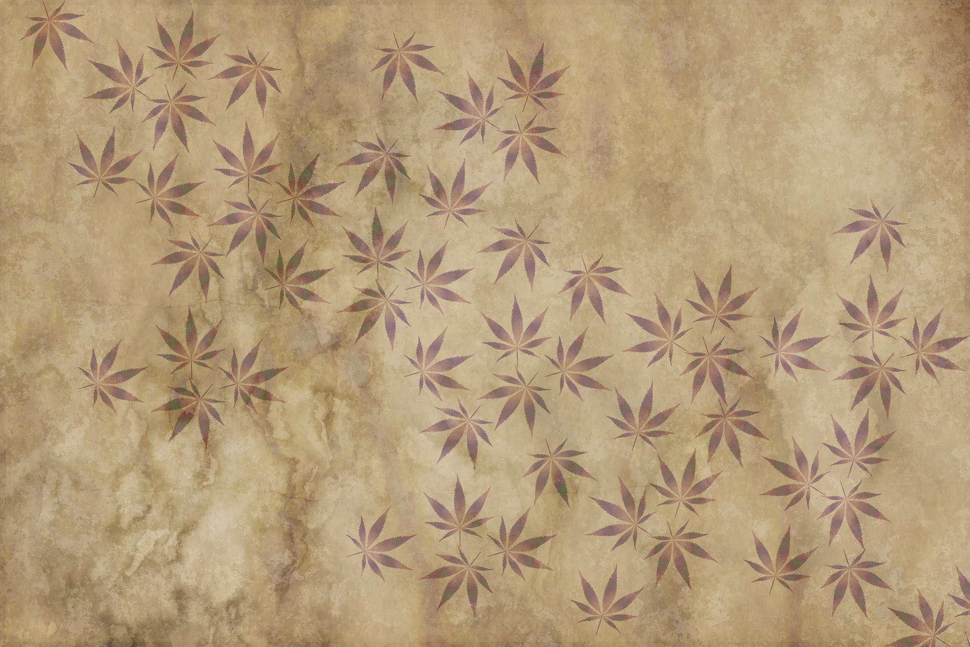 parchment-2245345_1920