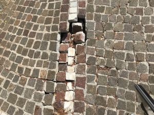 IMG-9809